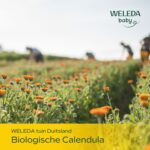 Weleda Samples Pakket | 40 stuks - Afbeelding 6
